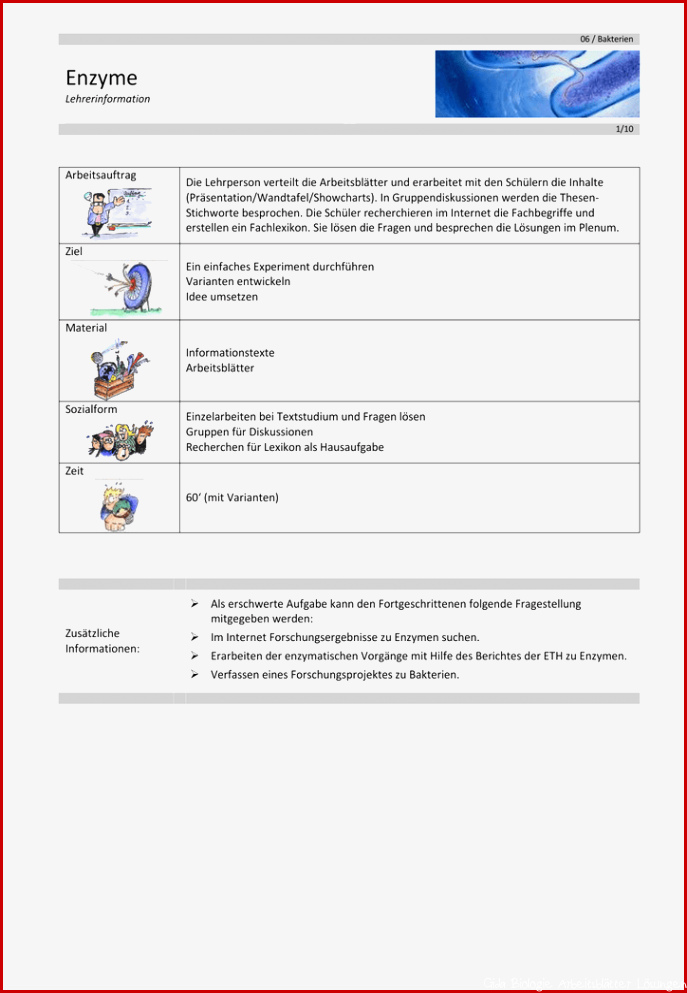 06 Enzyme