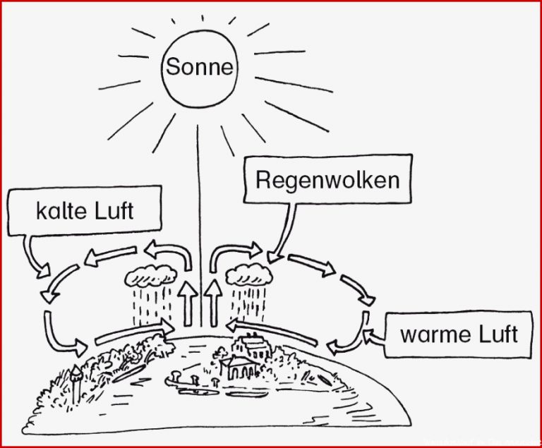 1 Abbildung öffnen Grafik