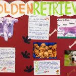 1 Plakate Golden Retrievergrundschule Am Wartberg