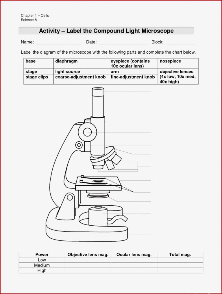 11 Best of Light Microscope Diagram Worksheet