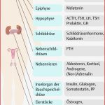 11 Hormonsystem Pflegepädagogik Georg Thieme Verlag