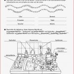 15 Konzentrationsübungen Arbeitsblätter Kostenlos