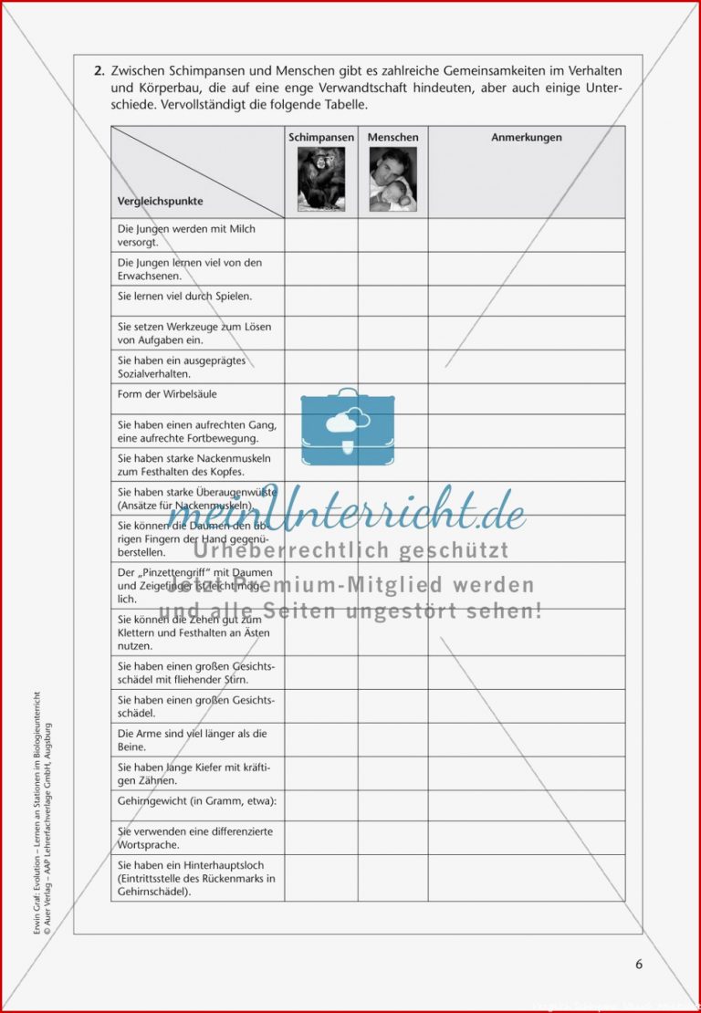 15 Vergleich Schimpanse Mensch Arbeitsblatt iwonnink