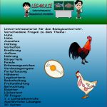 17 Arbeitsblatt Huhn