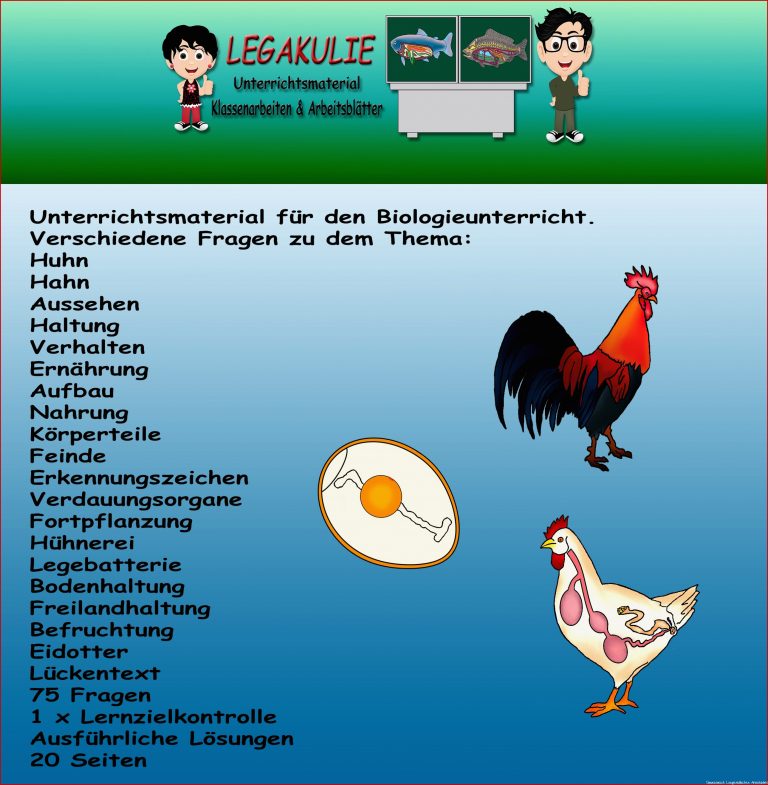 17 Arbeitsblatt Huhn