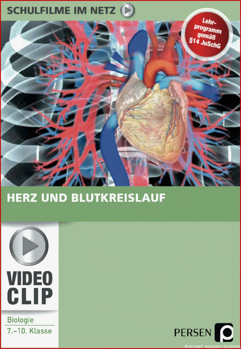 25 Biologie Arbeitsblatt Blutkreislauf Iwonnink