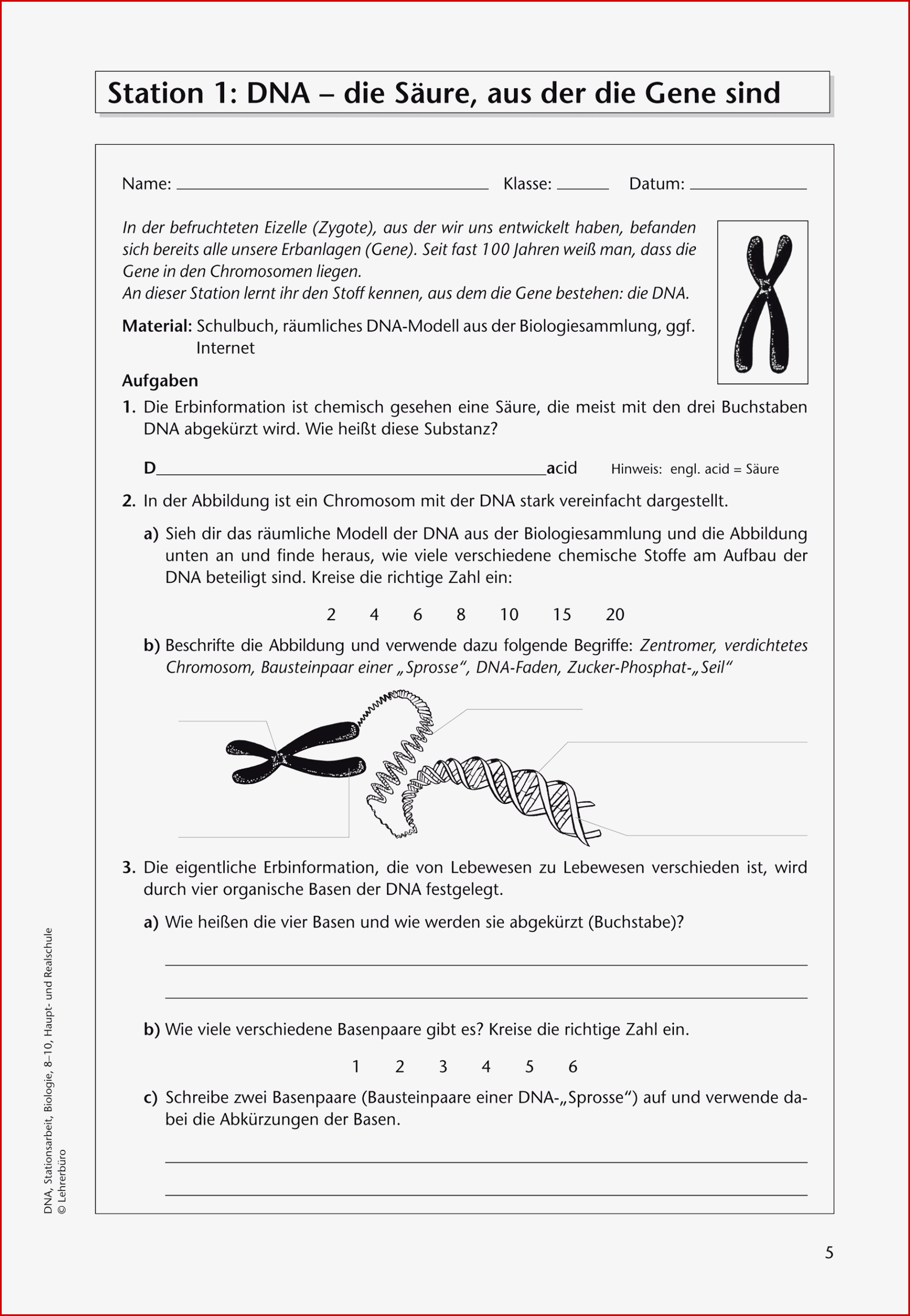 25 Elegant Dehnungs H Arbeitsblatt