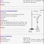 25 Inspirierend Dehnungs H Arbeitsblatt