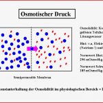 25 Luxus Arbeitsblatt Diffusion Und Osmose Beantwortet Die