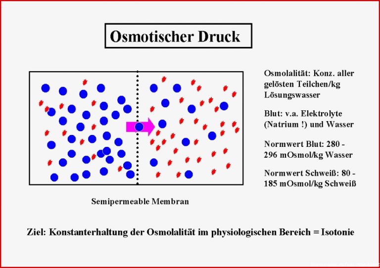 25 Luxus Arbeitsblatt Diffusion Und Osmose Beantwortet Die