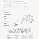 25 Schon Unterrichtsmaterial Ernährung