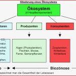 26 Luxus Dehnungs H Arbeitsblatt