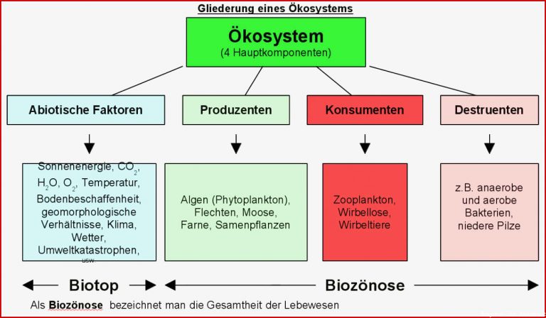 26 Luxus Dehnungs H Arbeitsblatt