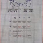 3. Mendel'sche Regel Korrektur? (bio)