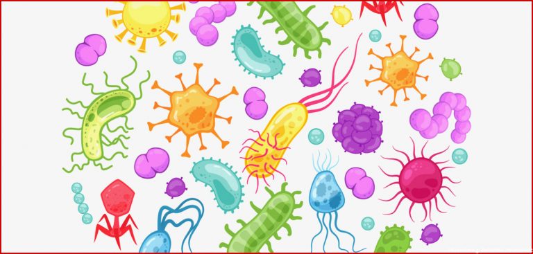 [34 ] Welche formen Von Bakterien Gibt Es