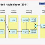 40 Wochen Von Der Keimzelle Zum Kind Arbeitsblatt Aji