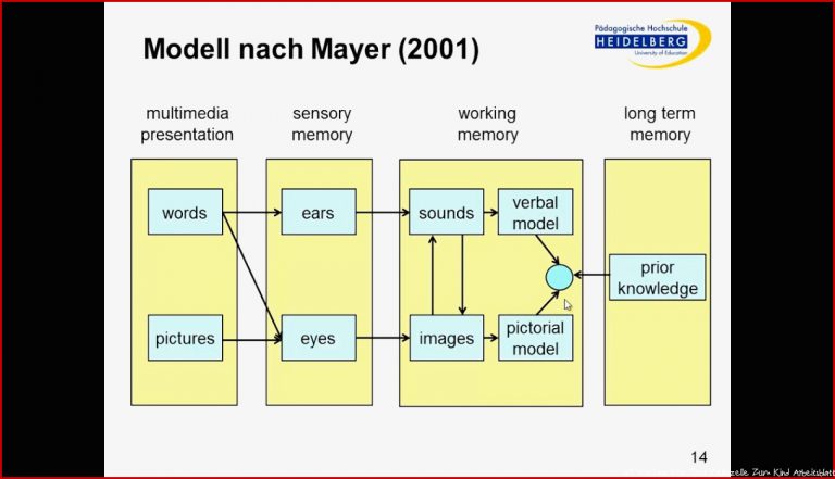 40 Wochen Von Der Keimzelle Zum Kind Arbeitsblatt aji