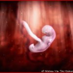 40 Wochen Von Der Keimzelle Zum Kind – E Online