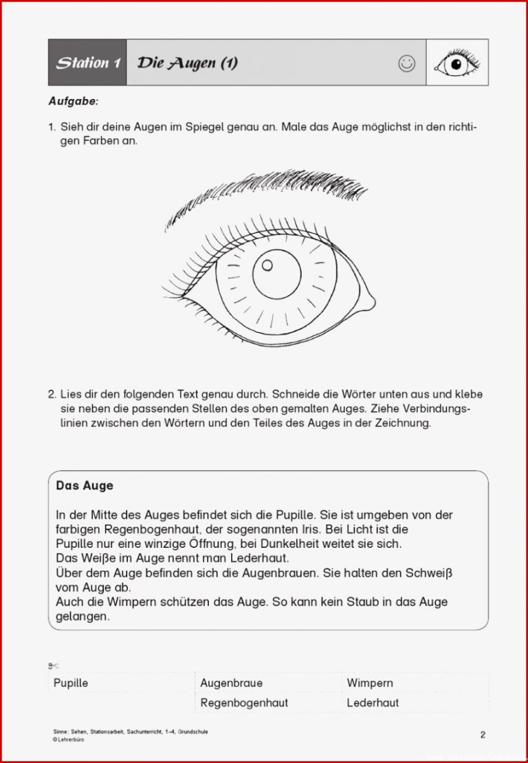 44 ARBEITSBLATT GRUNDSCHULE SINNE KidWorksheet