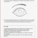 44 Arbeitsblatt Grundschule Sinne Kidworksheet