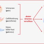 45 Erkrankungen Des Kreislauf Und Gefäßsystems