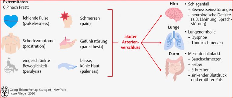 45 Erkrankungen Des Kreislauf Und Gefäßsystems