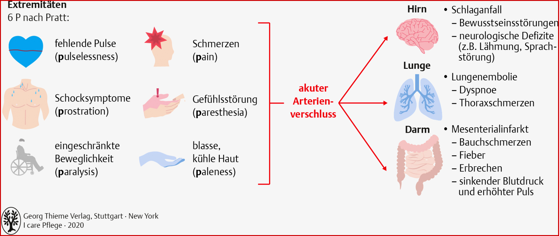 45 Erkrankungen Des Kreislauf Und Gefäßsystems