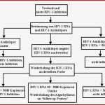 5 Die Akute Hiv 1 Infektion – Hivbuch