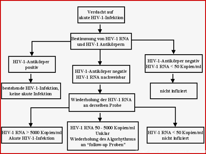 5 Die akute HIV 1 Infektion – hivbuch