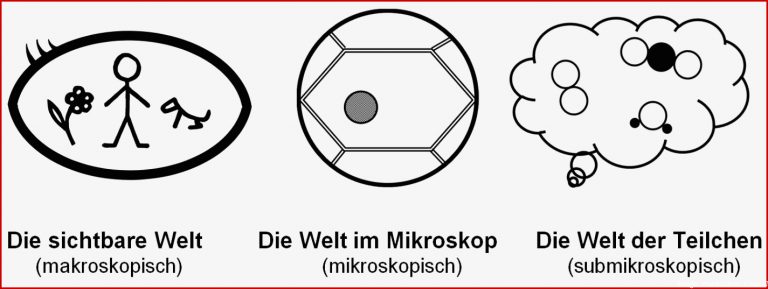 5. Klasse Skript 3: spezielle Didaktik Biologie | www.bio-nickl.de