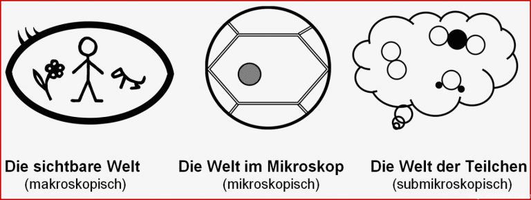 5. Klasse Skript 3: Spezielle Didaktik Biologie Www.bio-nickl.de