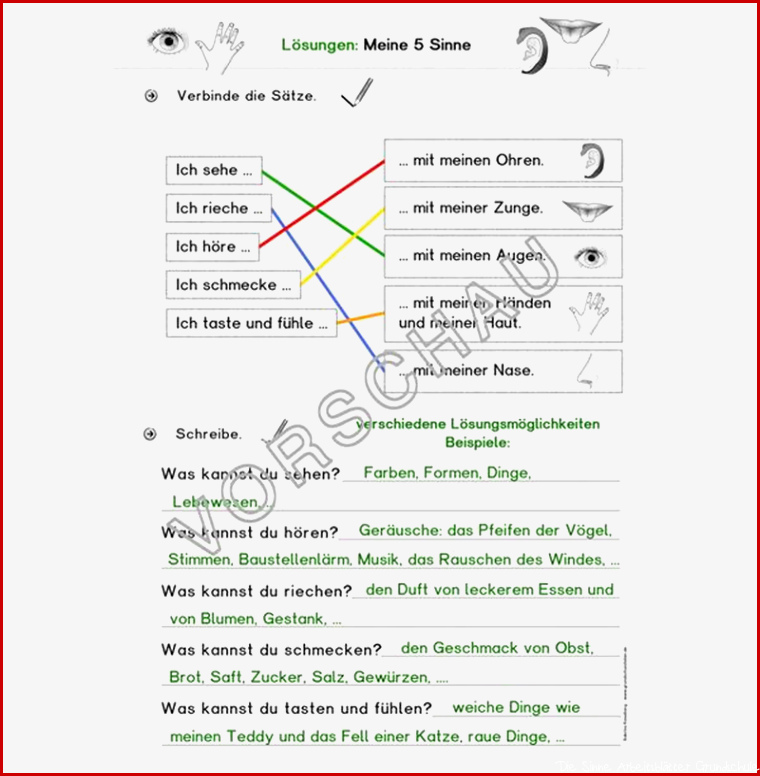 5 Sinne Werkstatt für Grundschule