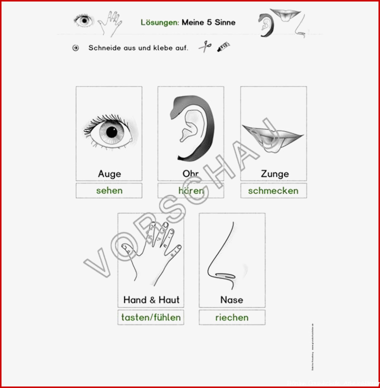 5 Sinne Werkstatt für Grundschule