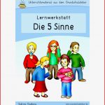 5 Sinne Werkstatt Für Grundschule