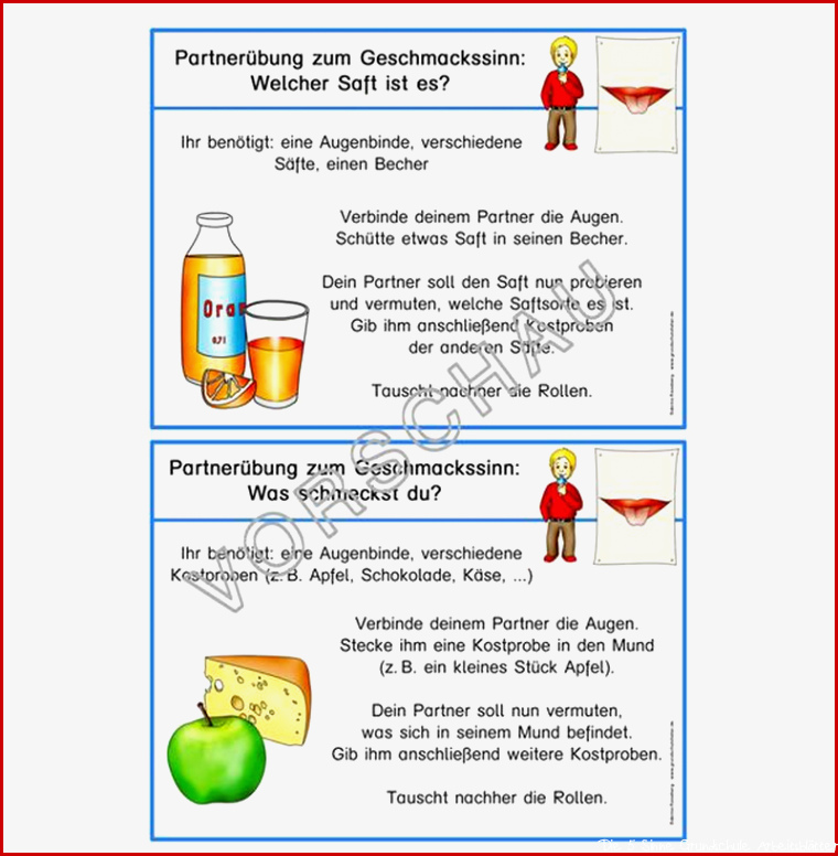 5 Sinne Werkstatt für Grundschule