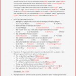 51 Arbeitsblatt Grundschule Bibel Kidworksheet