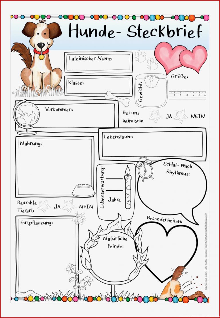 55 Steckbrief 4 Klasse Grundschule Tiere