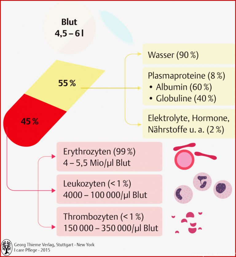 59 Blut Und Immunsystem Pflegepädagogik Georg Thieme