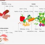 59 Blut Und Immunsystem Pflegepädagogik Georg Thieme