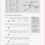 6 Arbeitsblätter Zu Rhythmen Und Notenwerten
