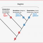 6. Evolution - Biologie-unterricht Im Digitalen Zeitalter