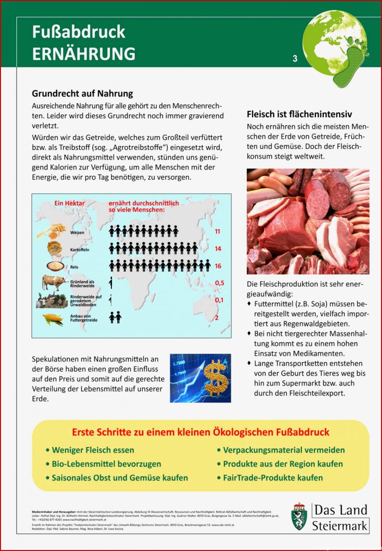 6 themen Poster Zum "Ökologischen Fußabdruck