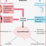 61 Nervensystem Pflegepädagogik Georg Thieme Verlag