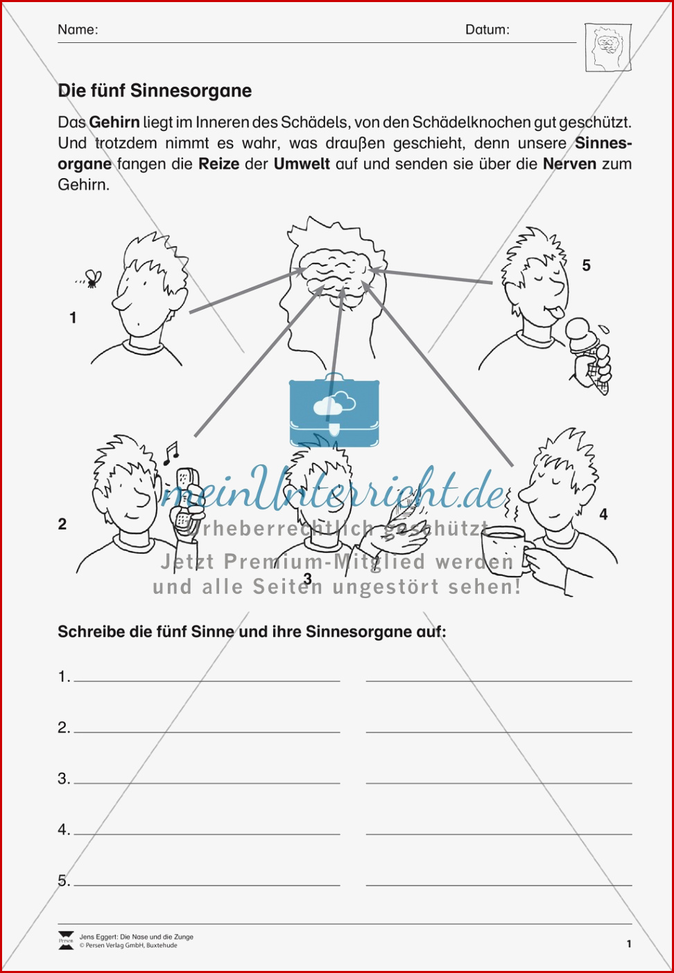 63 Arbeitsblatt Die Zunge Grundschule Kidworksheet