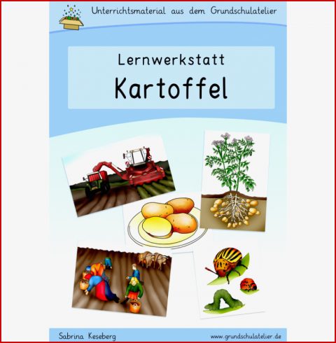 64 Arbeitsblatt Grundschule Kartoffel Kidworksheet