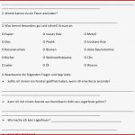 66 Arbeitsblatt Grundschule Feuer Kidworksheet