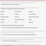 66 Arbeitsblatt Grundschule Feuer Kidworksheet