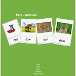 76 Flashcards Pets Animals Für Den Englischunterricht In