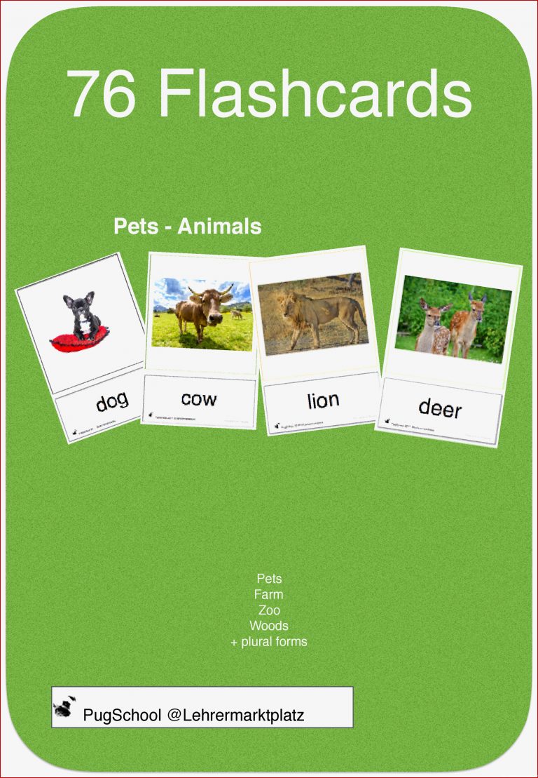 76 Flashcards Pets Animals für den Englischunterricht in