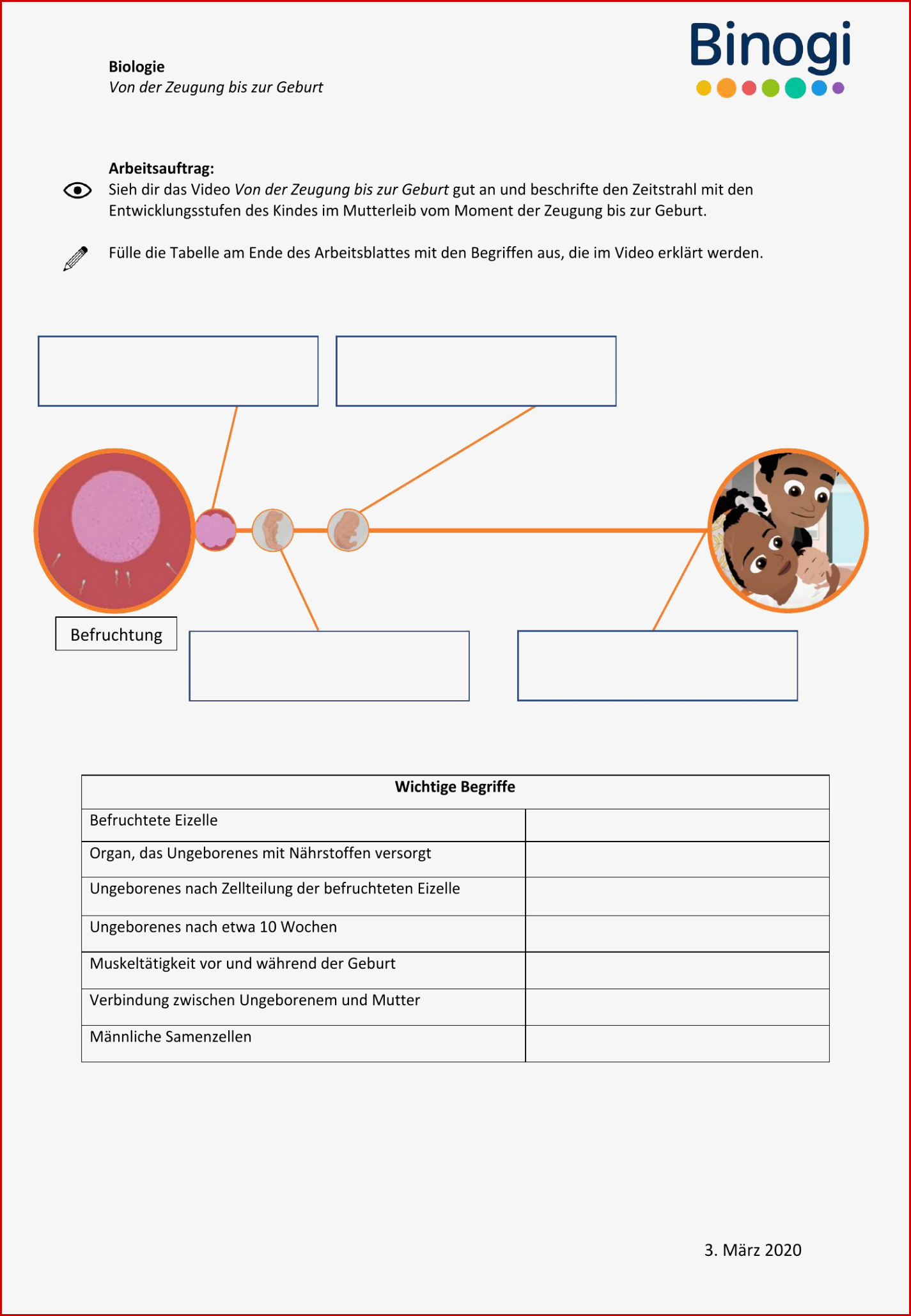 Ab Biologie Von Der Zeugung Bis Zur Geburt Pdf